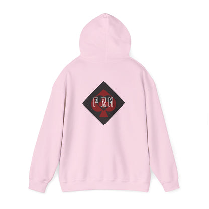 I Love Latinas Hoodie